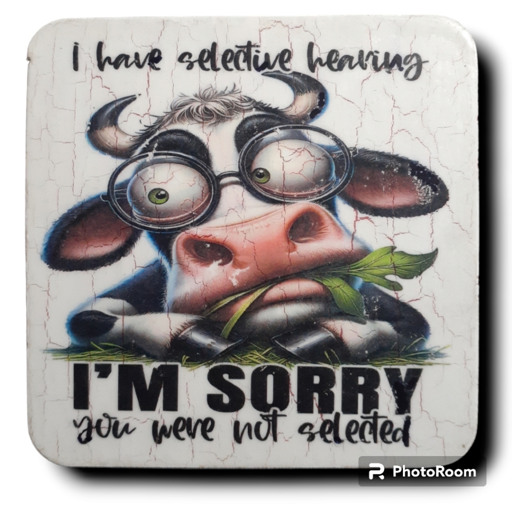 WOODEN SOUVENIRS SARCASTIC FUNNY COD/ALOVA/227